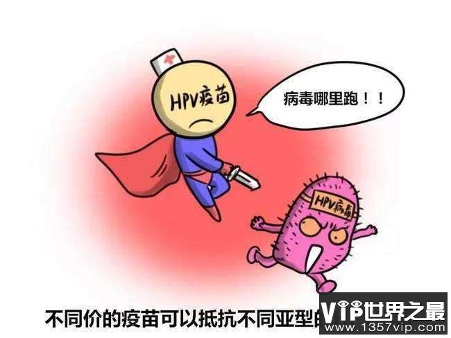 女生必须知道的HPV知识 HPV冷知识