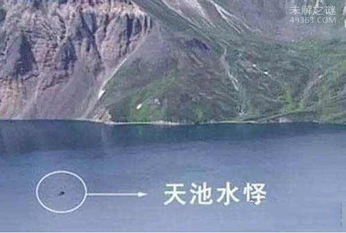 中国三大水怪之谜：青海湖水怪疑似蛇颈龙