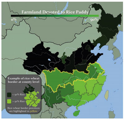 你是哪种人？这跟祖先种小麦还是大米有关