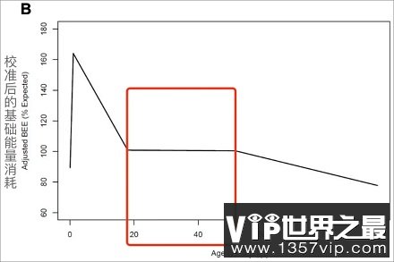 为什么中年容易发福？中年发福的主要原因是什么？