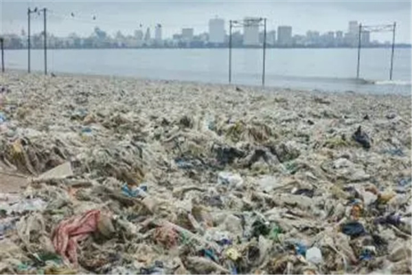 全球十大危险大海，弗雷泽岛的海域有鲨鱼