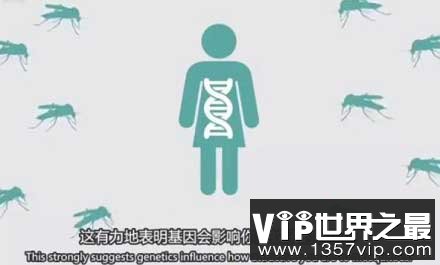 容易招蚊子和基因有关是真的吗？