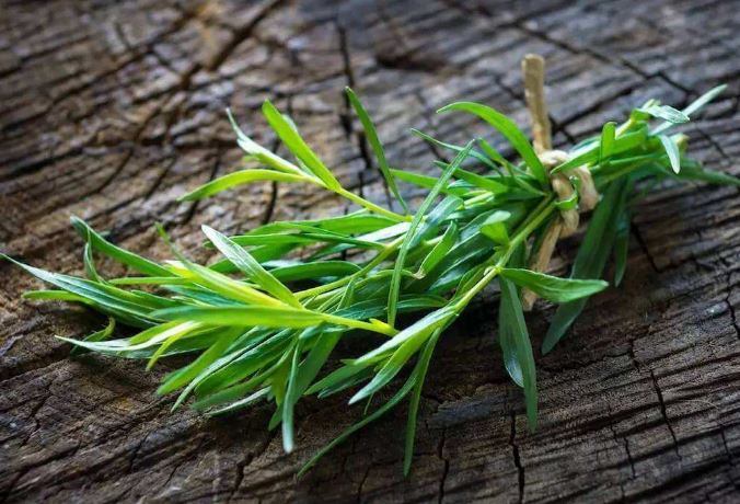 世界十大最香的植物：莳萝居第三，香蜂草得冠军