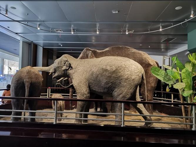 中国十大生物博物馆盘点，中山大学生物博物馆居首位