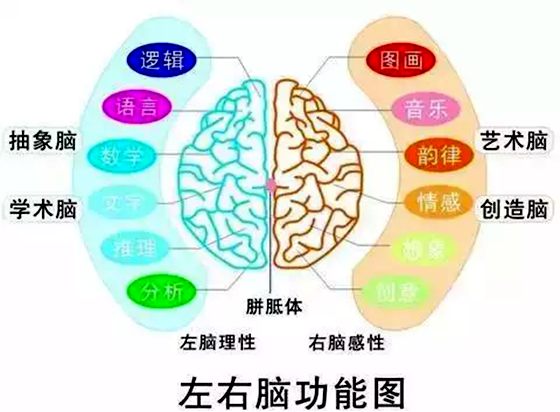 为什么大多数人用右手写字,为什么外国人用左手写字的多