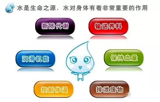 人为什么要喝水，多喝水有什么好处