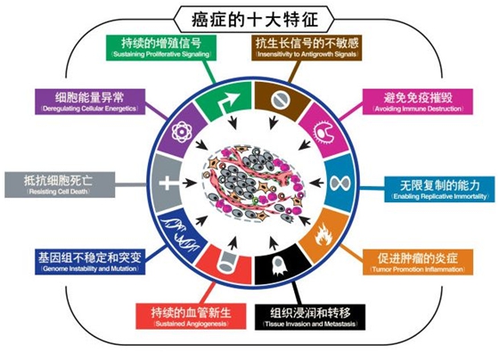 为什么癌症治不好,为何癌症不能治愈