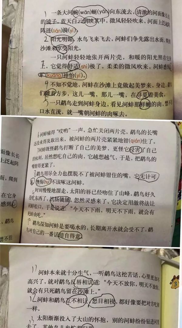 小学生为什么质疑鹬蚌相争,学生质疑鹬蚌相争是怎么回事