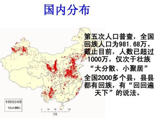 回族为什么不吃猪肉,回族人不吃猪肉的真正原因