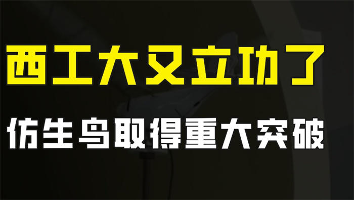 【生物飞行器】中国仿鸟飞行器重大突破 美国为之震惊