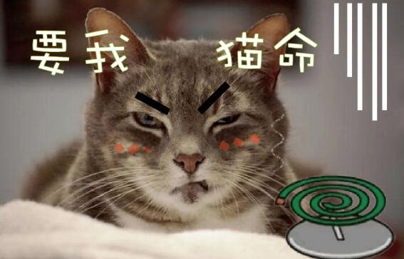 蚊香会让猫咪变痴呆是真的吗？