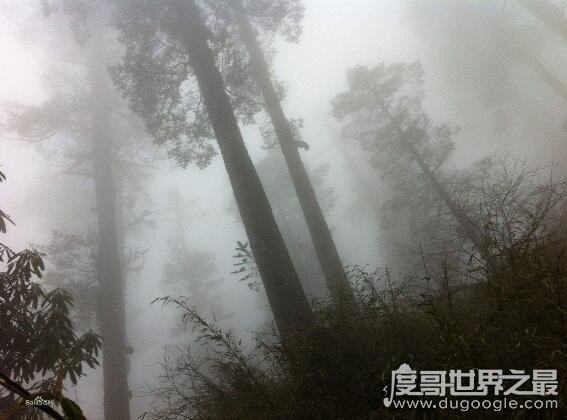 旅游禁地瓦屋山迷魂凼，被称陆地百慕大三角能进不能出