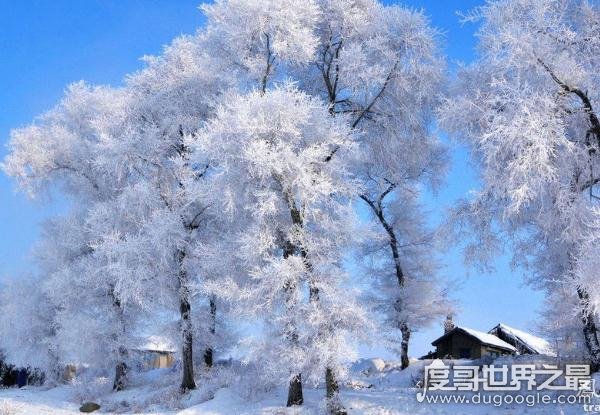 中国四大自然奇观，“一江寒水清，两岸琼花凝”(太惊艳)