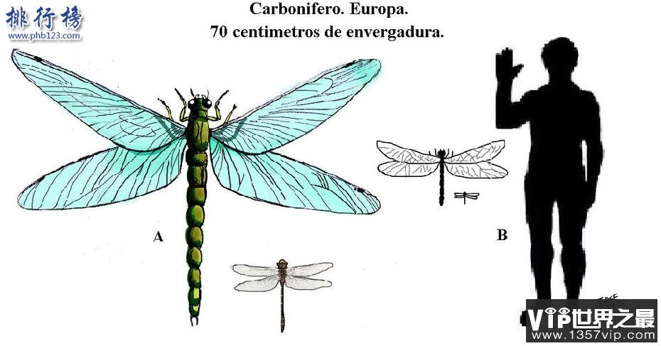 石炭纪十大恐怖生物 揭晓石炭纪生物大灭绝真相