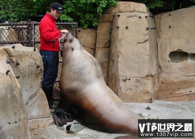 温哥华水族馆