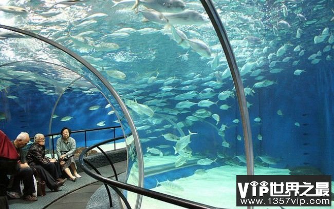 上海海洋水族馆