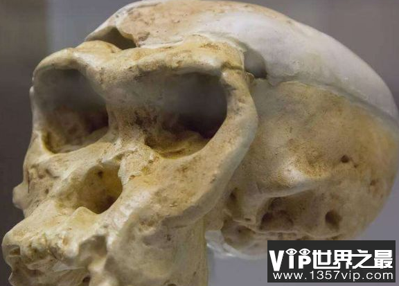 研究人员发现,已知的第一批海啸受害者证实了6000年前的死亡