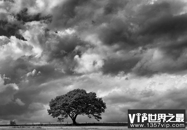 夏天为什么常常有雷阵雨