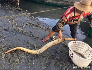 大隐隐于市,小隐隐于珊瑚 模糊珊瑚,中国大陆最南端的度假之选