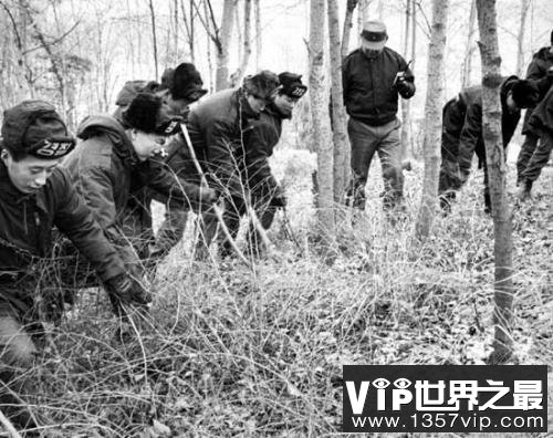 韩国大邱青蛙少年失踪案，五名少年离奇惨死(凶手至今未找到)