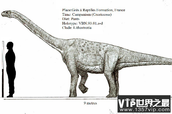 吉普赛龙：身材修长的法国超巨型恐龙(体长12米/无颅骨化石)