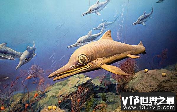 大眼鱼龙(Ophthalmosaurus)：长相酷似海豚，眼睛超级大