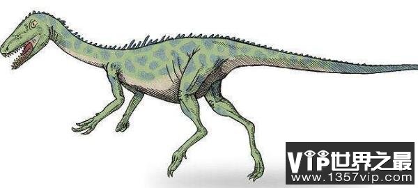 西北阿根廷龙：小型兽脚亚目恐龙，体长1.8米的杂食性恐龙