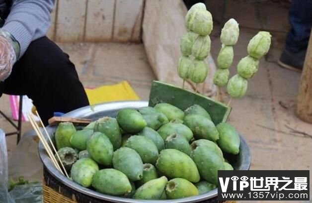 仙人掌的果实能吃吗，食用型仙人掌但吃无妨（图4）