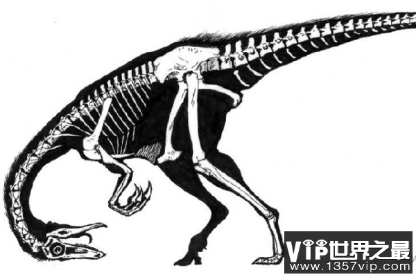 似金翅鸟龙：最原始的似鸟龙恐龙（四脚趾/像鸵鸟）