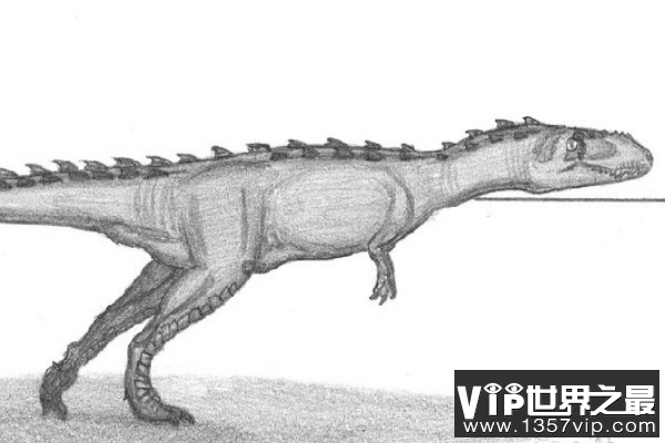 印度龙：一种体长6米的中型食肉恐龙(命名存疑)