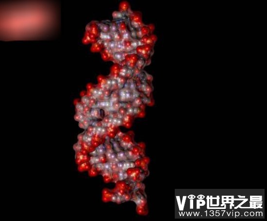 生命起源的骇人理论 不从地球开始而是从外太空来的