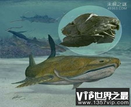 奥古布古：一种来自远古的生物“水中的恶魔”