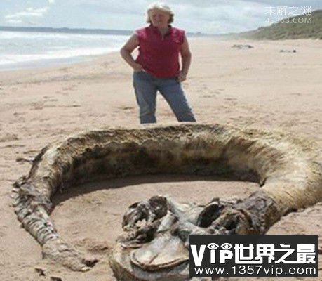 奥古布古：一种来自远古的生物“水中的恶魔”