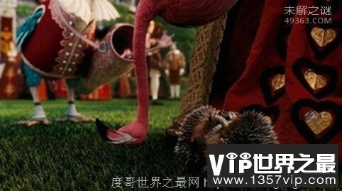 什么是红皇后假说：生物进化一直存在从未停止