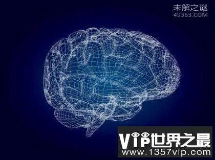 世界上IQ最高的人是谁?人类大脑10大惊天秘密