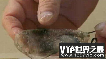 无奇不有的海洋生物