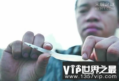 长江捞起一条全身透明的“银鱼”，银鱼怎么吃才是最好