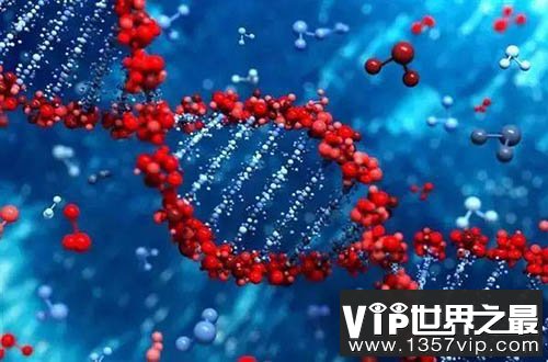 科学实验首次见证艾滋病病毒诞生过程