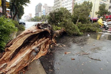 17级台风摧毁力排行，台风海燕造成菲律宾6300人死亡