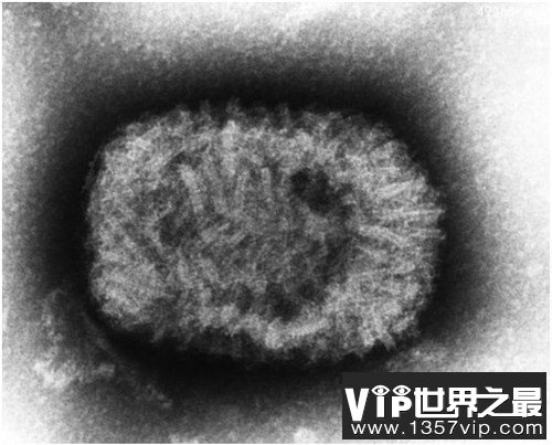 人类历史上12种最致命病毒，冠状病毒上榜