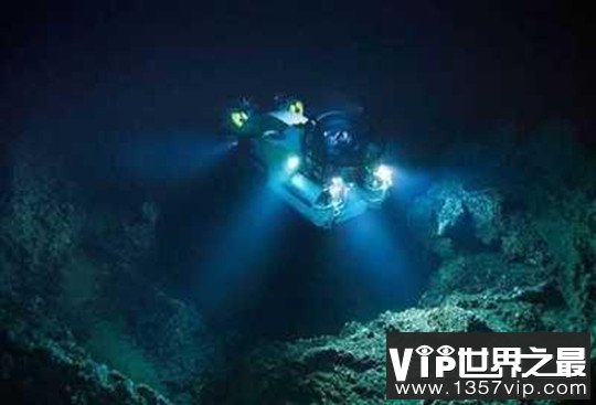 海底一万米有生物吗，只有少量生物存在(数量最多的是双眼钩虾)