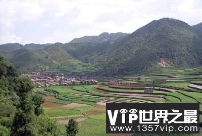 历史上十大最严重的瘟疫，黑死病造成全世界死亡人数高达7500万