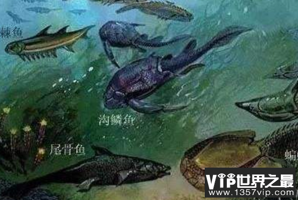 泥盆纪生物大灭绝