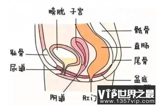 嗳嗳的时候想尿，是巢吹的前兆