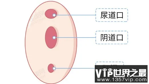 第一次最容易遇到的问题