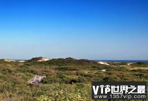 世界十大禁止开车地方：巴厘岛和威尼斯双双上榜