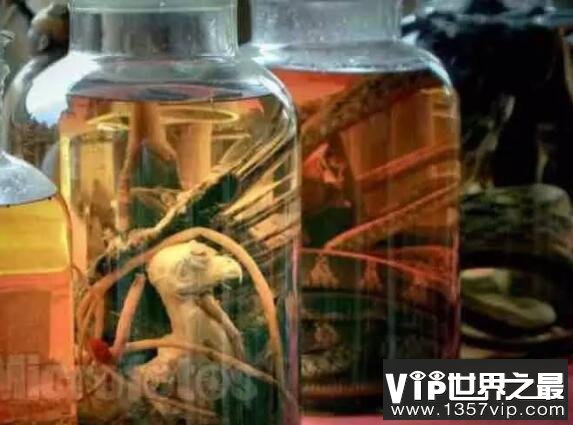 补肾壮阳酒泡什么药最好？男人越喝越强壮