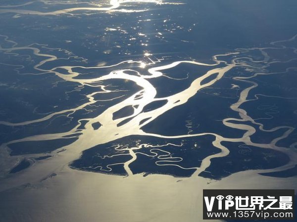 世界上最大的湿地：潘塔纳尔湿地面积24万平方公里