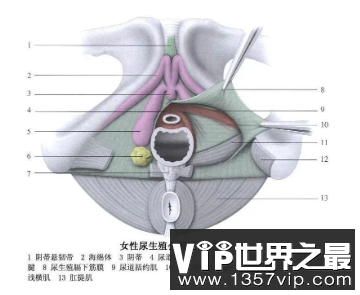 不可名状的液体