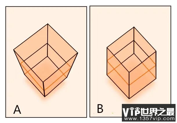 想知道别人眼里你的长度